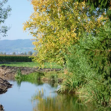 Couette-café Bio Gesundheitshotel Haus Sonnenstein 3*