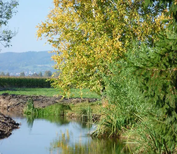 Bed & Breakfast Gesundheitshotel Haus Sonnenstein 3*